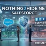 Nothing2hide Net Salesforce