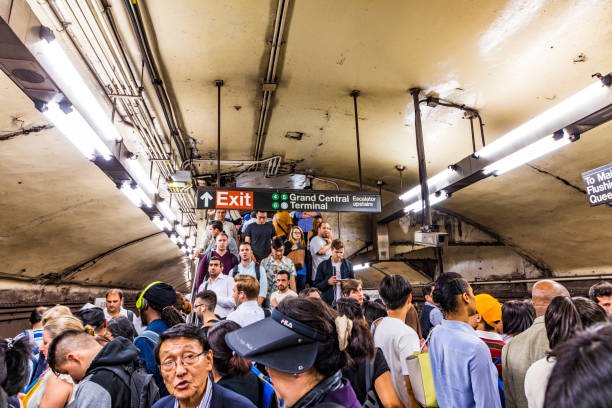 Tran ny tube