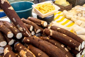 Best sonso yuca near me