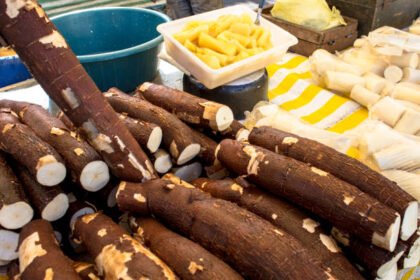 Best sonso yuca near me